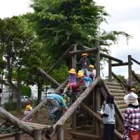 楽しかったよ！公園探検