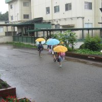 雨の日が続きますが・・・