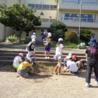 牛久小学校の委員会活動