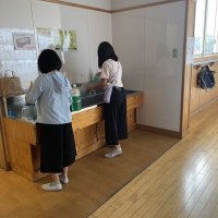 保健委員会　常時活動を頑張っています！