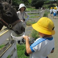 １年生　イバライド遠足