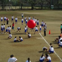 体育祭　全校団練習