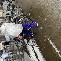 雨が降っていても元気に登校しています。